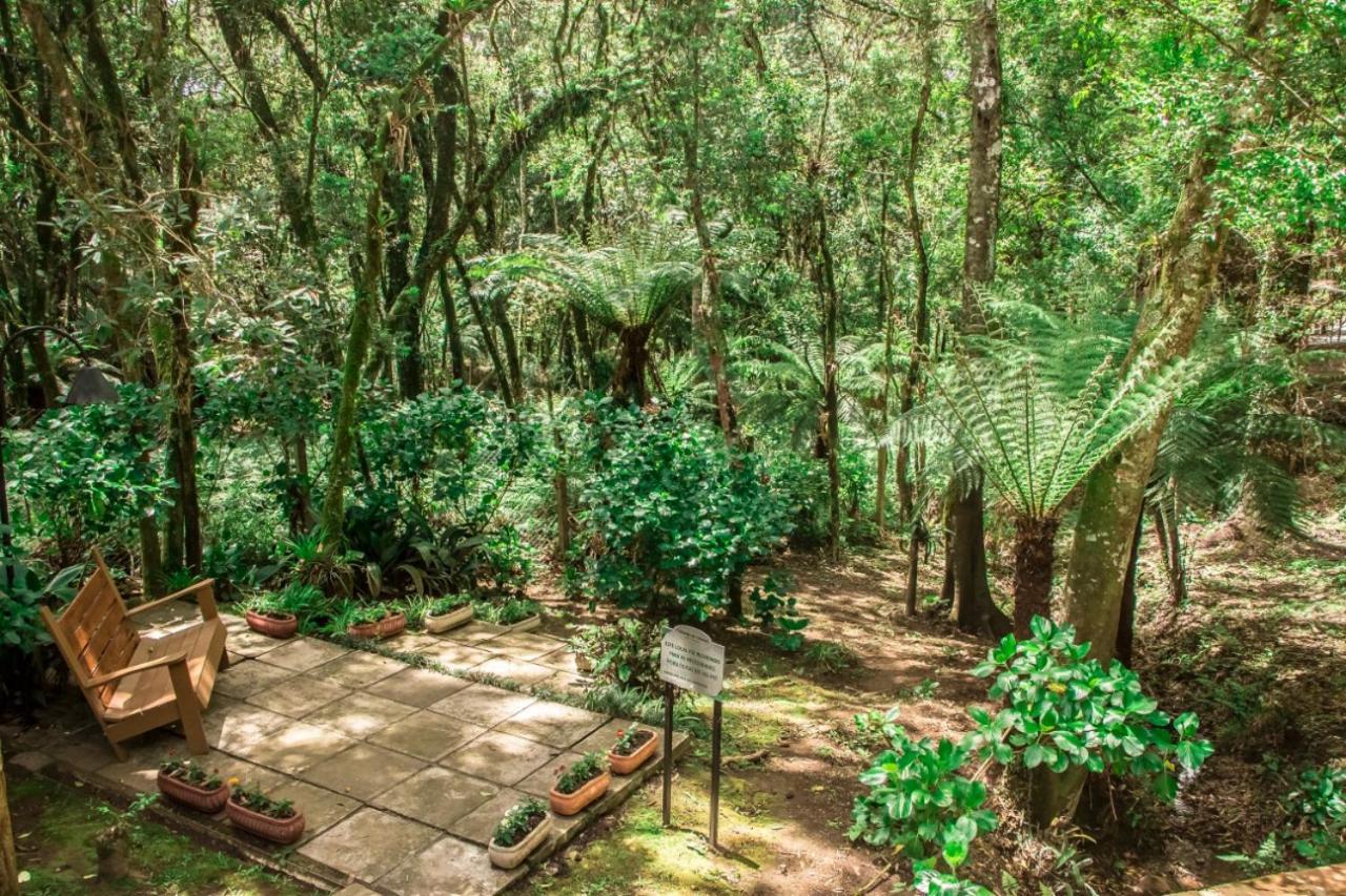 Hotel Pousada Cozumel Sierra Canela Bagian luar foto